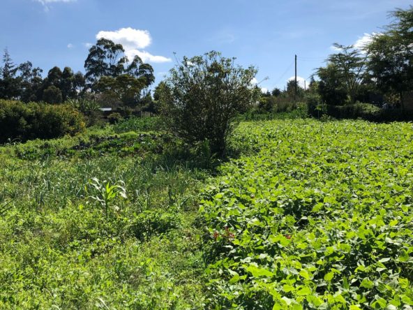 WhatsApp Image 2025 04 30 at 8.28.41 AM1