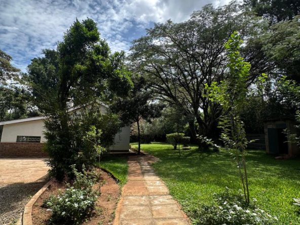 WhatsApp Image 2025 05 02 at 3.49.09 PM1