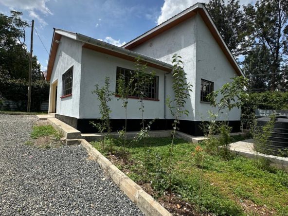 WhatsApp Image 2025 05 02 at 4.17.45 PM