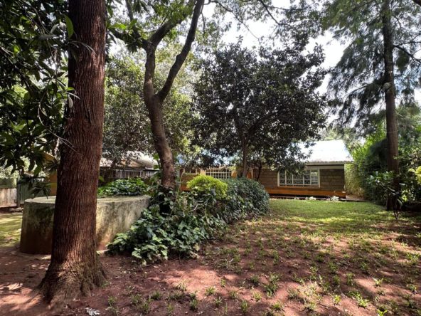 WhatsApp Image 2025 05 02 at 4.46.20 PM