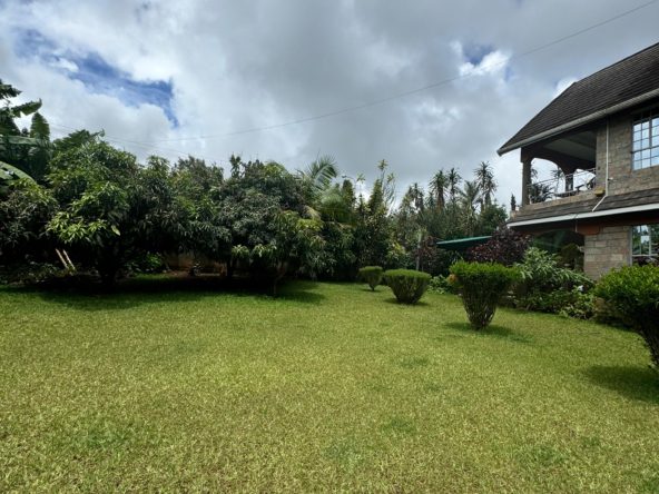 WhatsApp Image 2025 05 13 at 2.26.23 PM