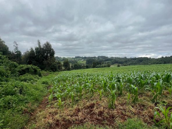 WhatsApp Image 2025 05 13 at 3.29.11 PM