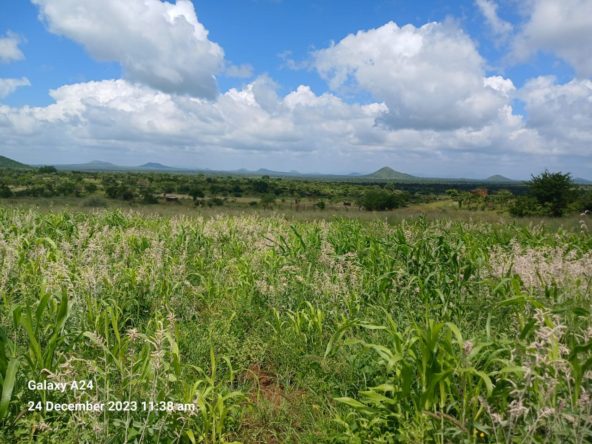 WhatsApp Image 2025 07 29 at 11.16.52 AM4