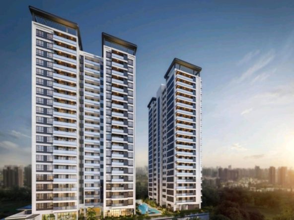 WhatsApp Image 2025 07 29 at 3.01.24 PM