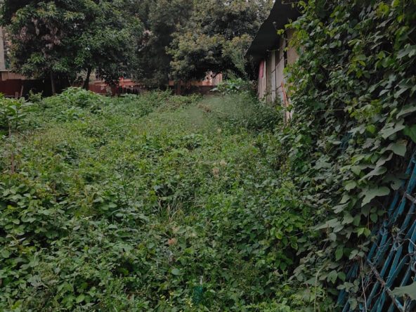 WhatsApp Image 2025 08 04 at 1.38.21 PM1