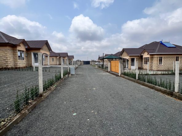 WhatsApp Image 2025 09 23 at 10.58.07 AM