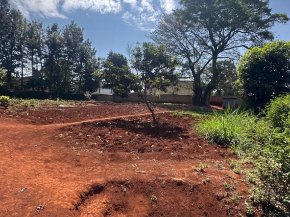 WhatsApp Image 2025 10 03 at 7.40.29 PM7