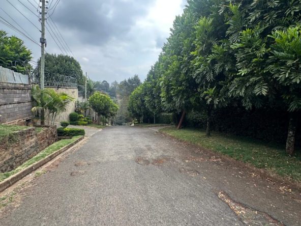 WhatsApp Image 2025 10 03 at 8.01.05 PM20