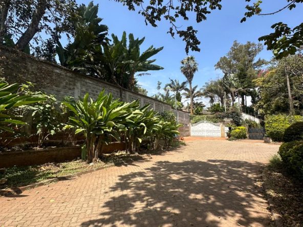 WhatsApp Image 2025 10 03 at 8.24.32 PM7