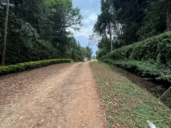 WhatsApp Image 2025 10 03 at 8.45.46 PM2