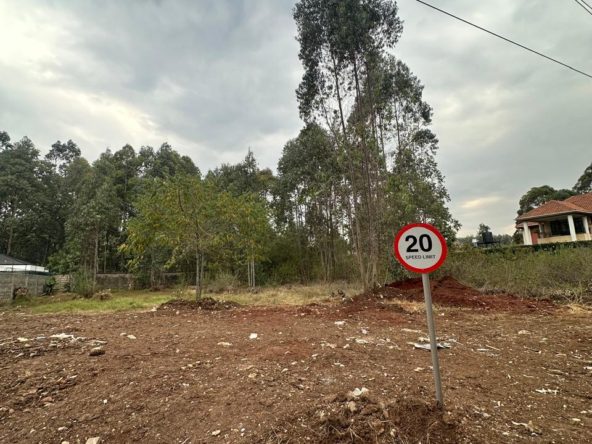 WhatsApp Image 2025 10 03 at 9.08.51 PM3