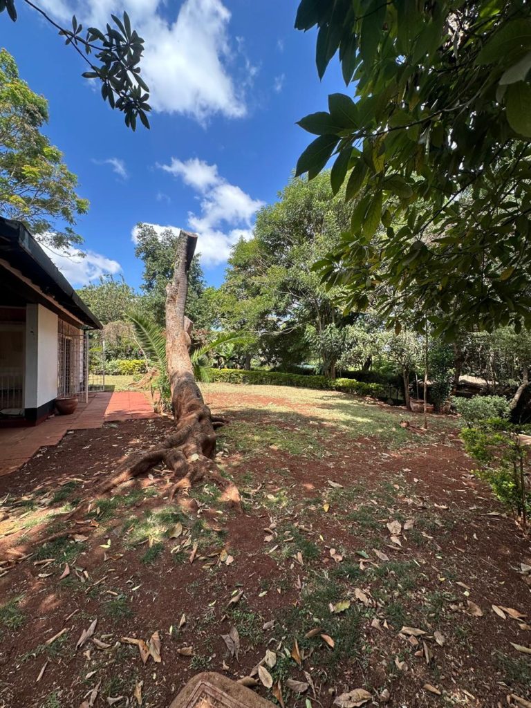 Houses for sale in Loresho