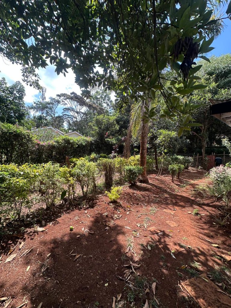 loresho land for sale