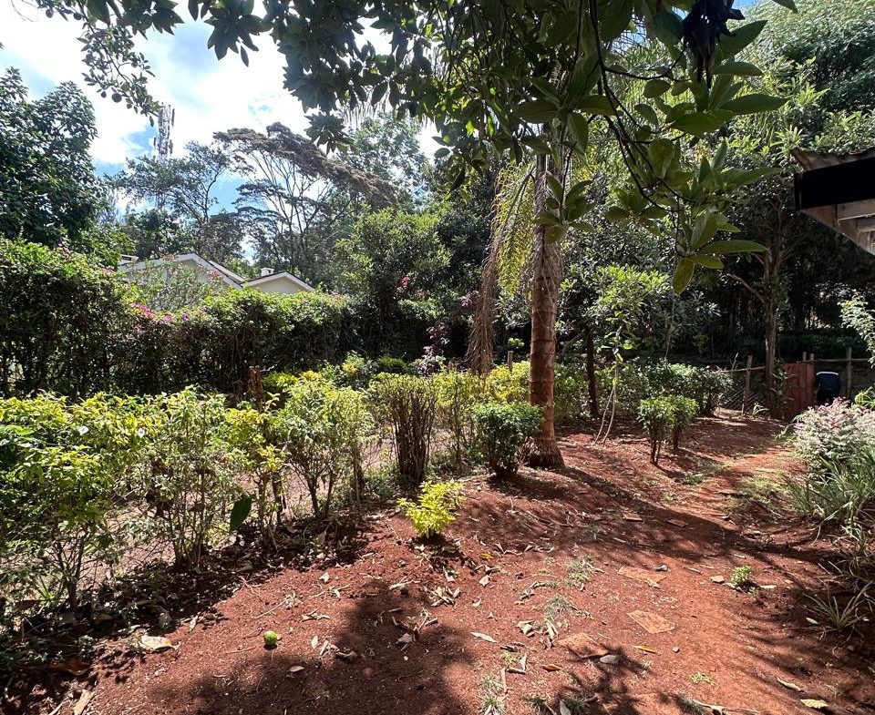 loresho land for sale