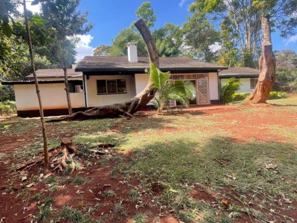 WhatsApp Image 2026 01 21 at 10.39.56 AM18