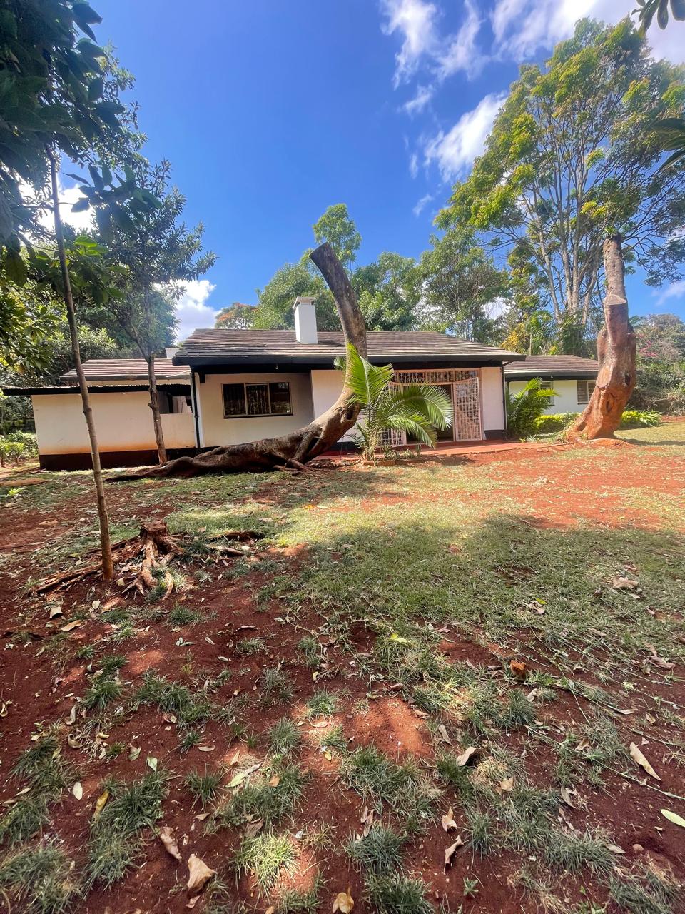 land for sale in loresho