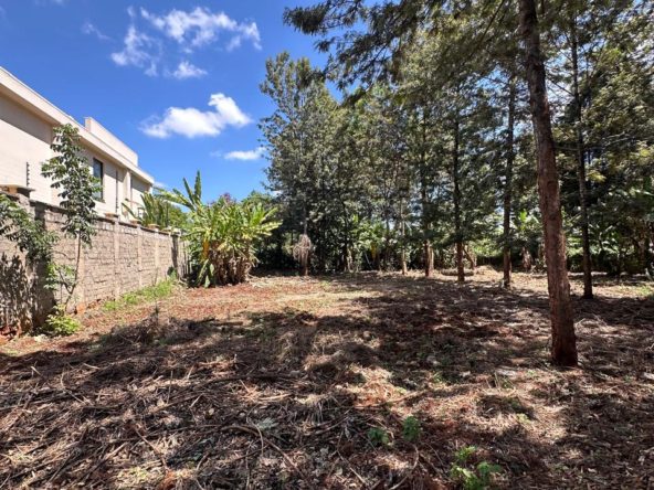 Land for sale kitisuru