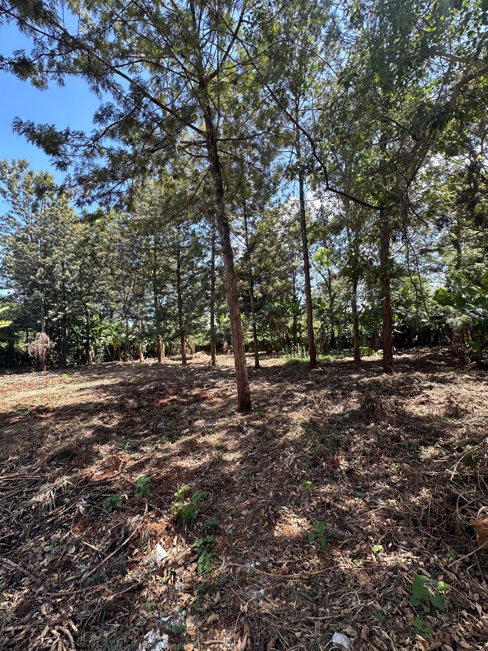 kitisuru land for sale