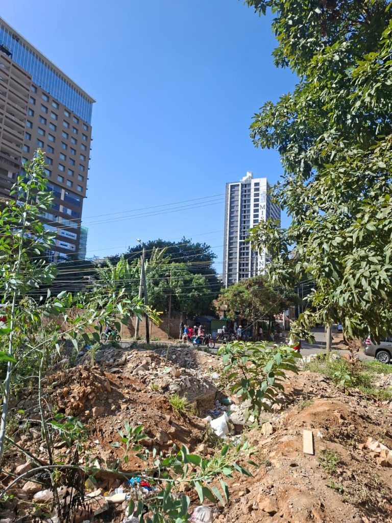 WhatsApp Image 2026 01 23 at 8.24.08 PM3