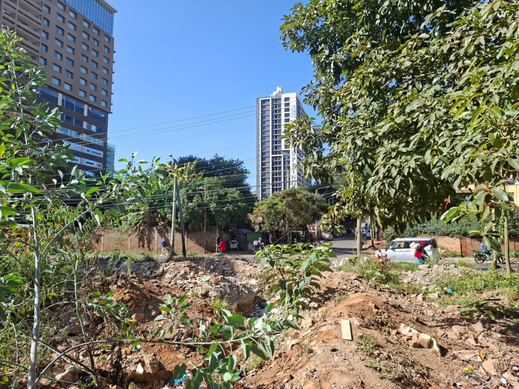 WhatsApp Image 2026 01 23 at 8.24.09 PM2