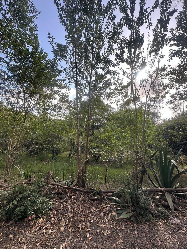 WhatsApp Image 2026 01 23 at 8.41.35 PM