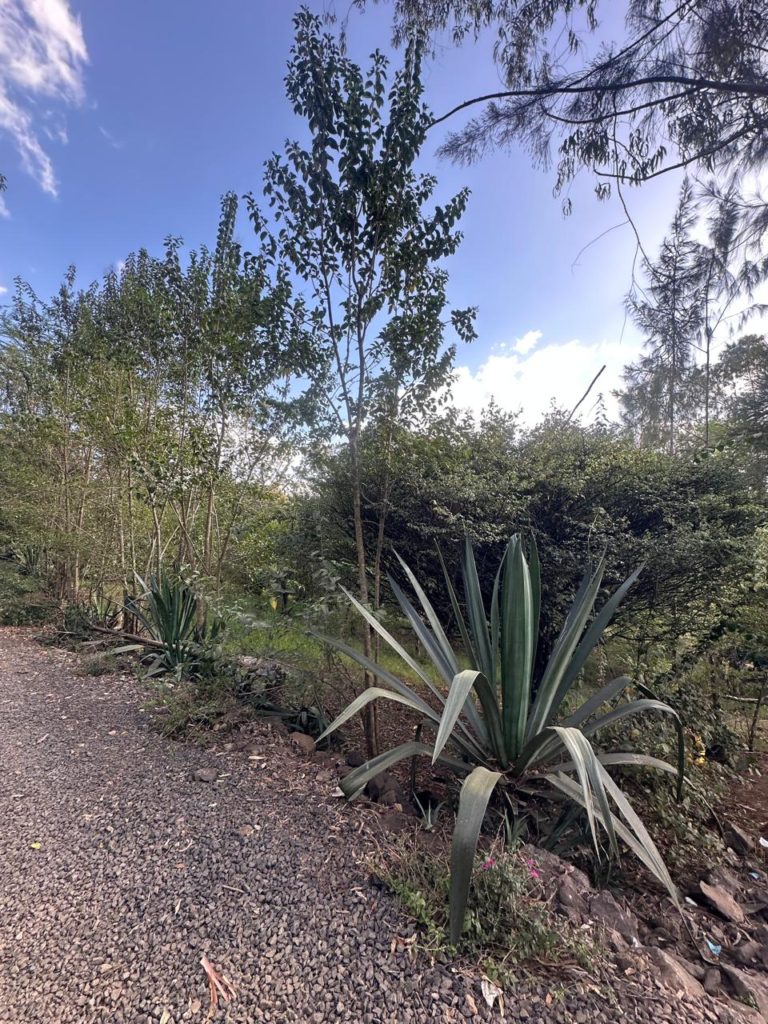 WhatsApp Image 2026 01 23 at 8.41.35 PM2