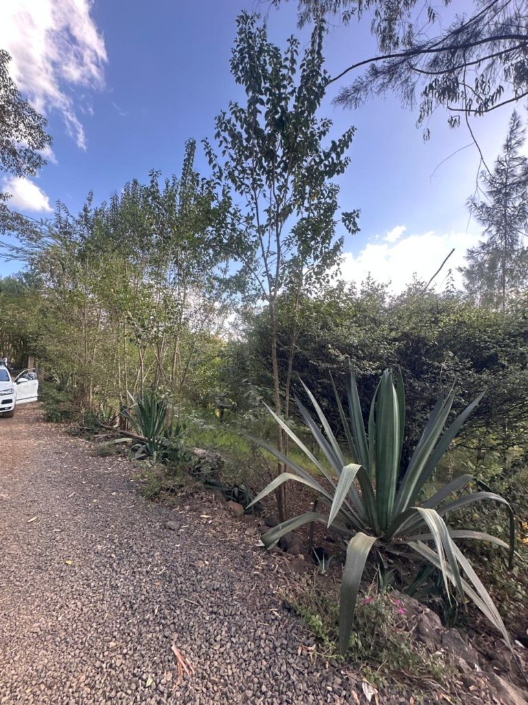 WhatsApp Image 2026 01 23 at 8.41.35 PM5