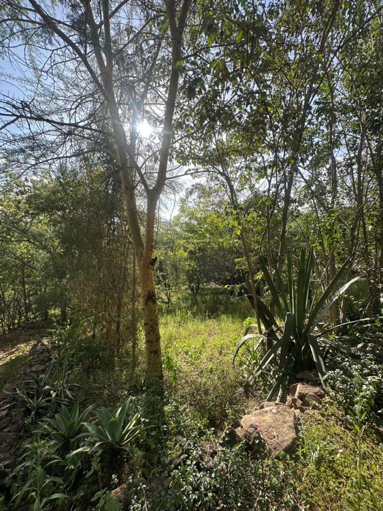 WhatsApp Image 2026 01 23 at 8.41.36 PM3