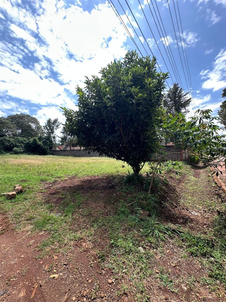 WhatsApp Image 2026 01 24 at 9.05.18 AM6