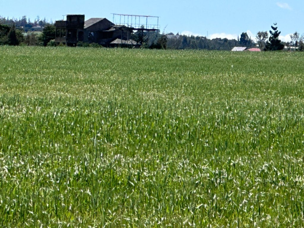 WhatsApp Image 2026 01 26 at 3.02.17 PM 1