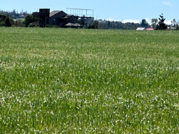 WhatsApp Image 2026 01 26 at 3.02.17 PM 1