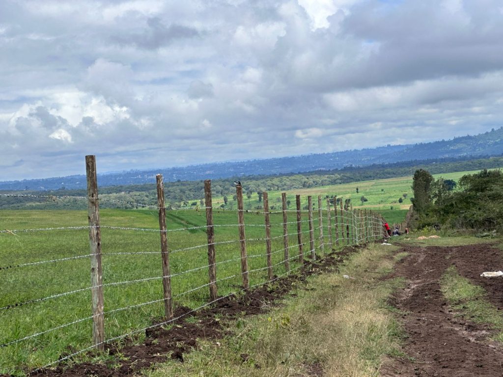 WhatsApp Image 2026 01 26 at 3.02.17 PM 2