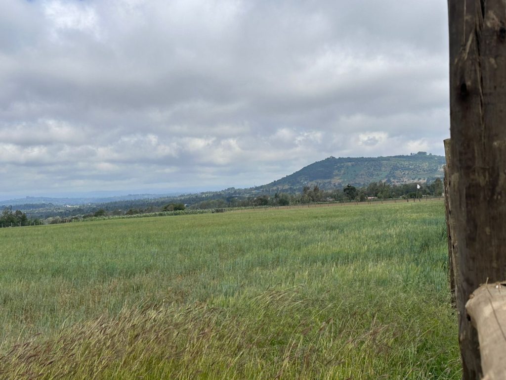 WhatsApp Image 2026 01 26 at 3.02.17 PM 3