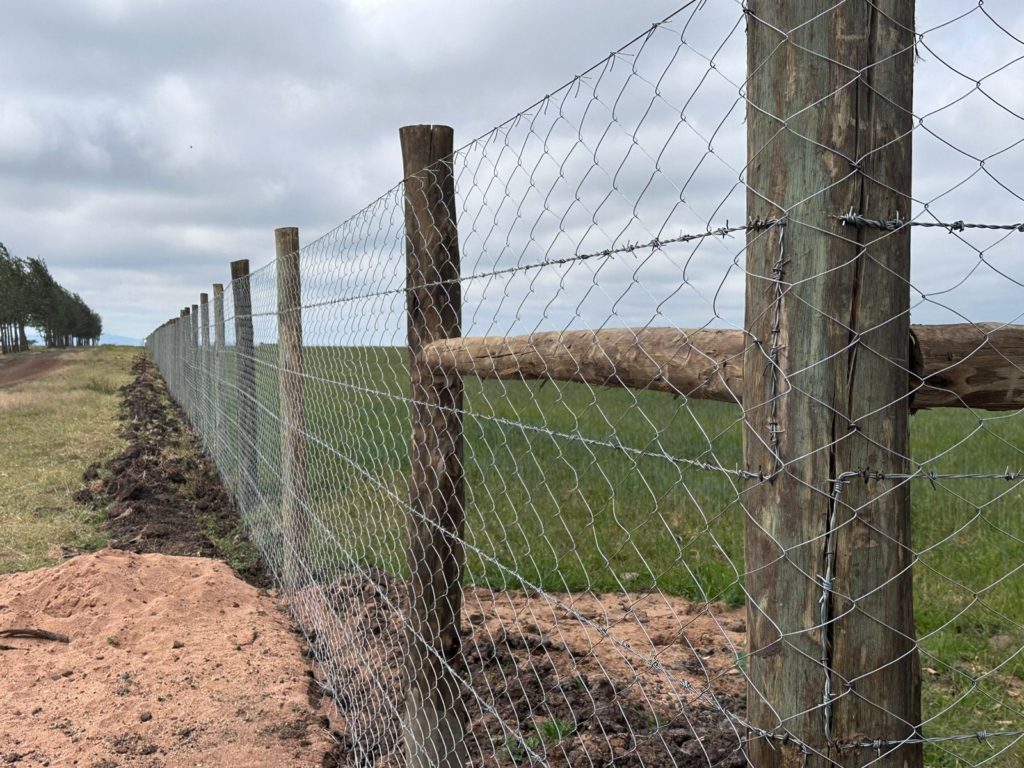 WhatsApp Image 2026 01 26 at 3.02.17 PM 7