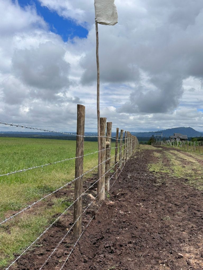 WhatsApp Image 2026 01 26 at 3.02.17 PM 9