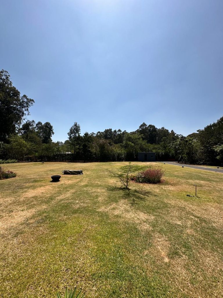 WhatsApp Image 2026 01 27 at 11.24.09 AM