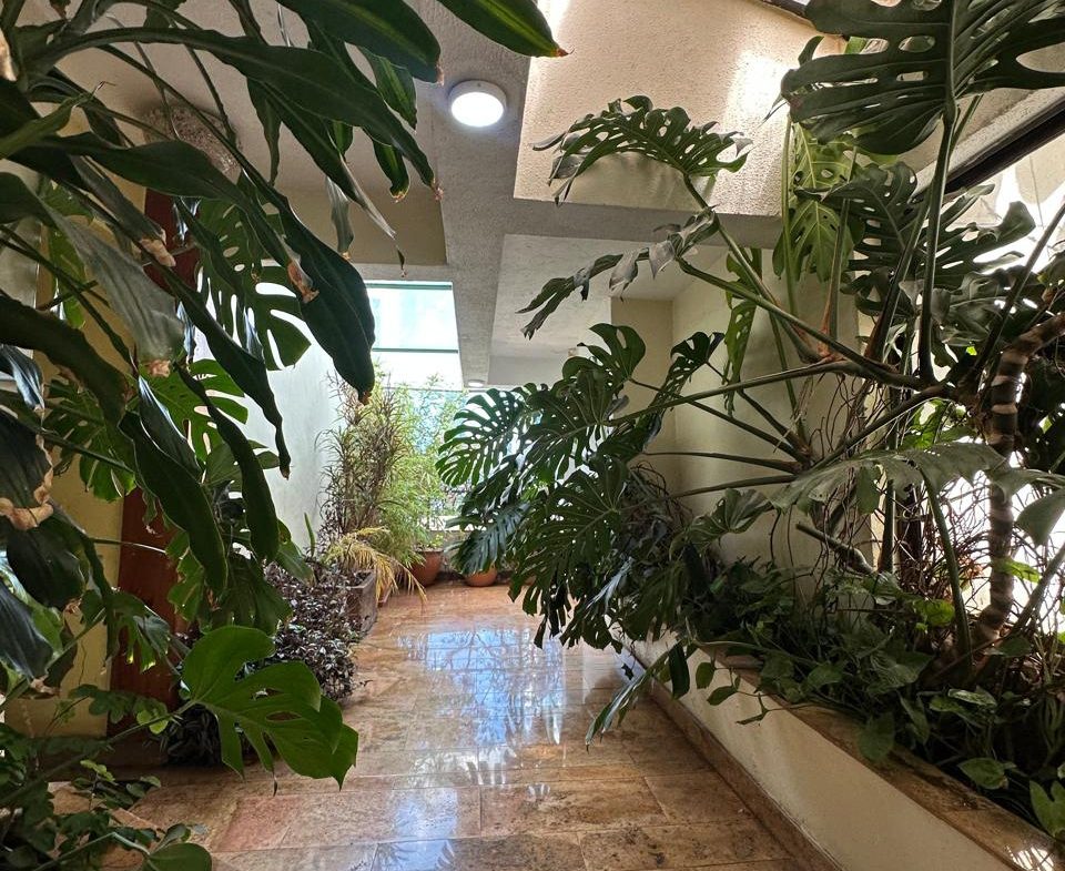 westlands penthouses