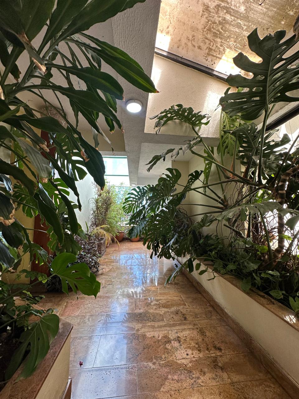 westlands penthouses