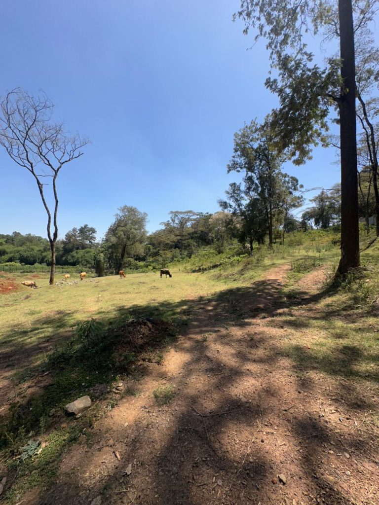 WhatsApp Image 2026 01 27 at 3.11.33 PM 1