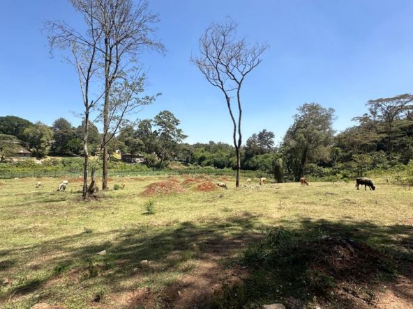 WhatsApp Image 2026 01 27 at 3.11.33 PM 11