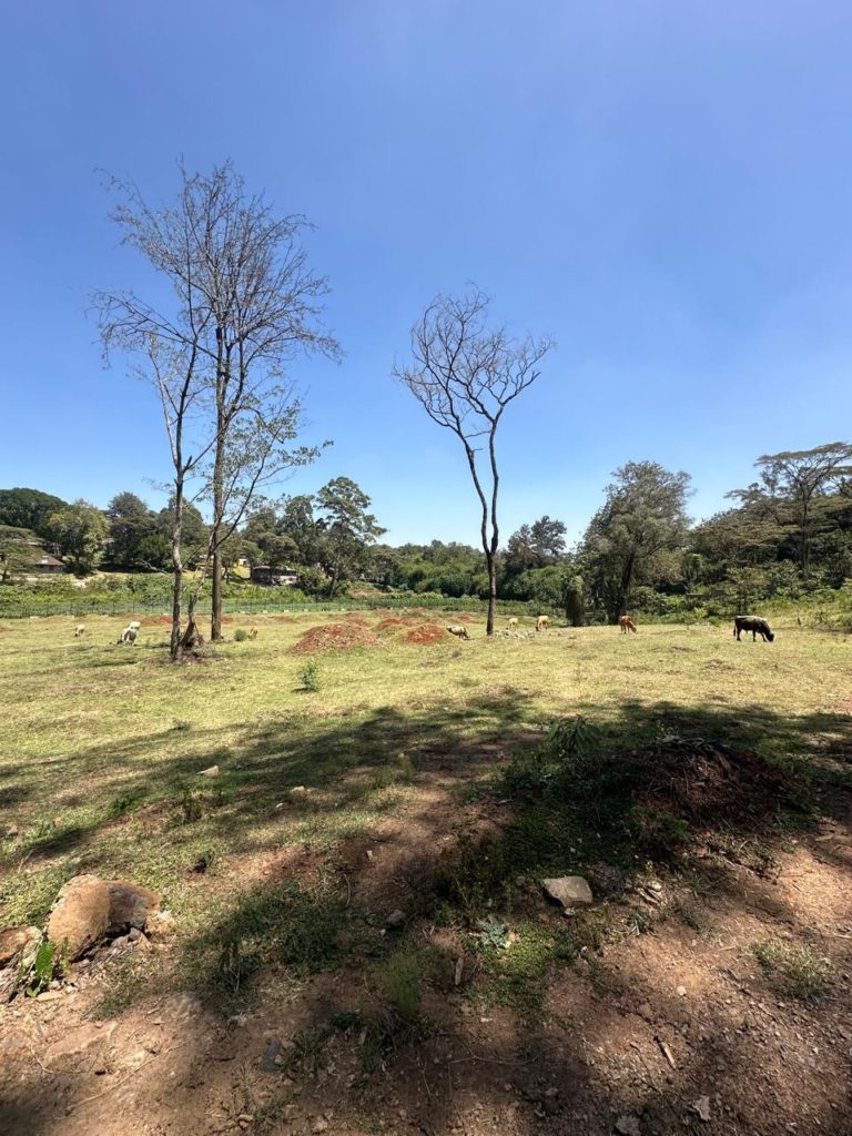 WhatsApp Image 2026 01 27 at 3.11.33 PM 2