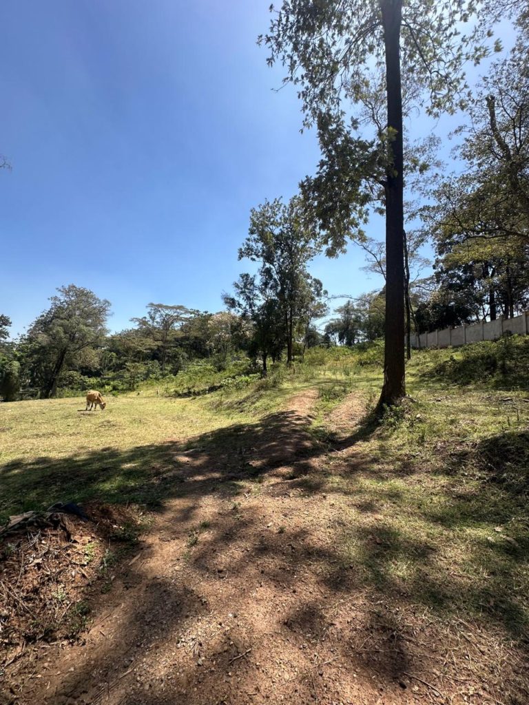 WhatsApp Image 2026 01 27 at 3.11.33 PM 4