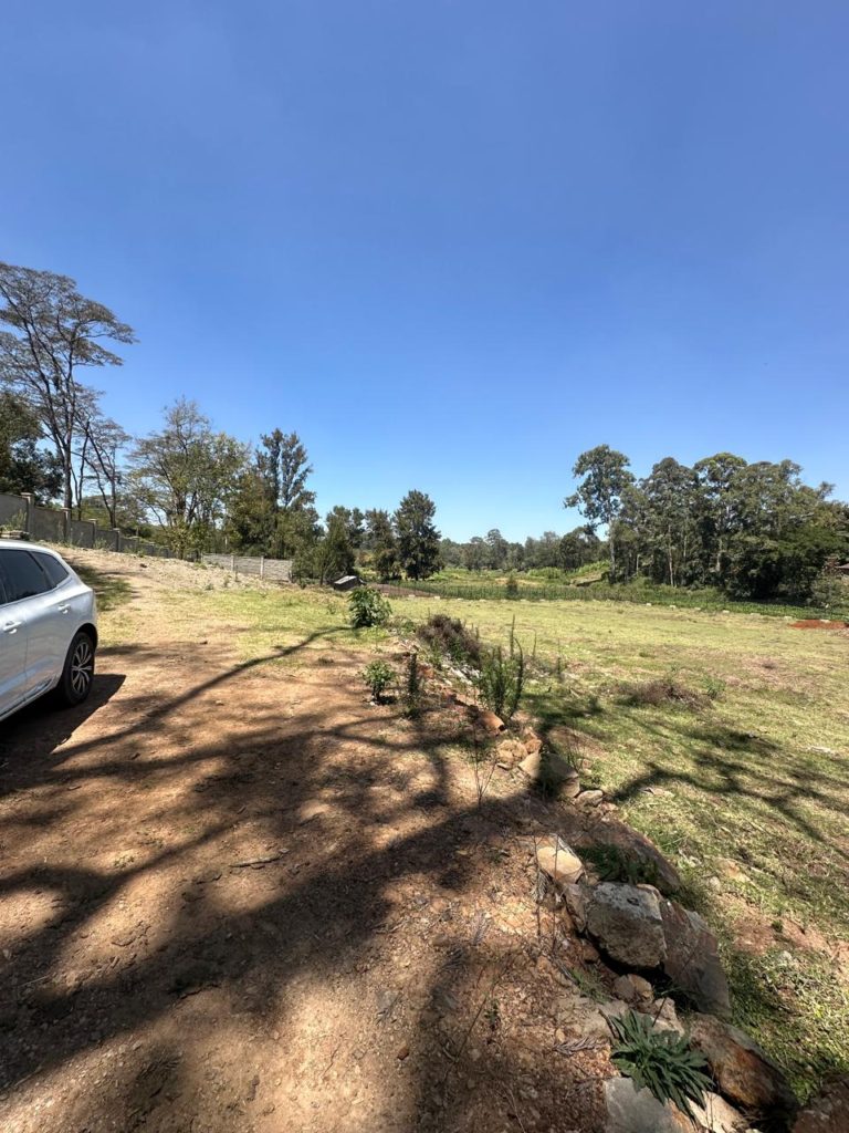 WhatsApp Image 2026 01 27 at 3.11.33 PM 7