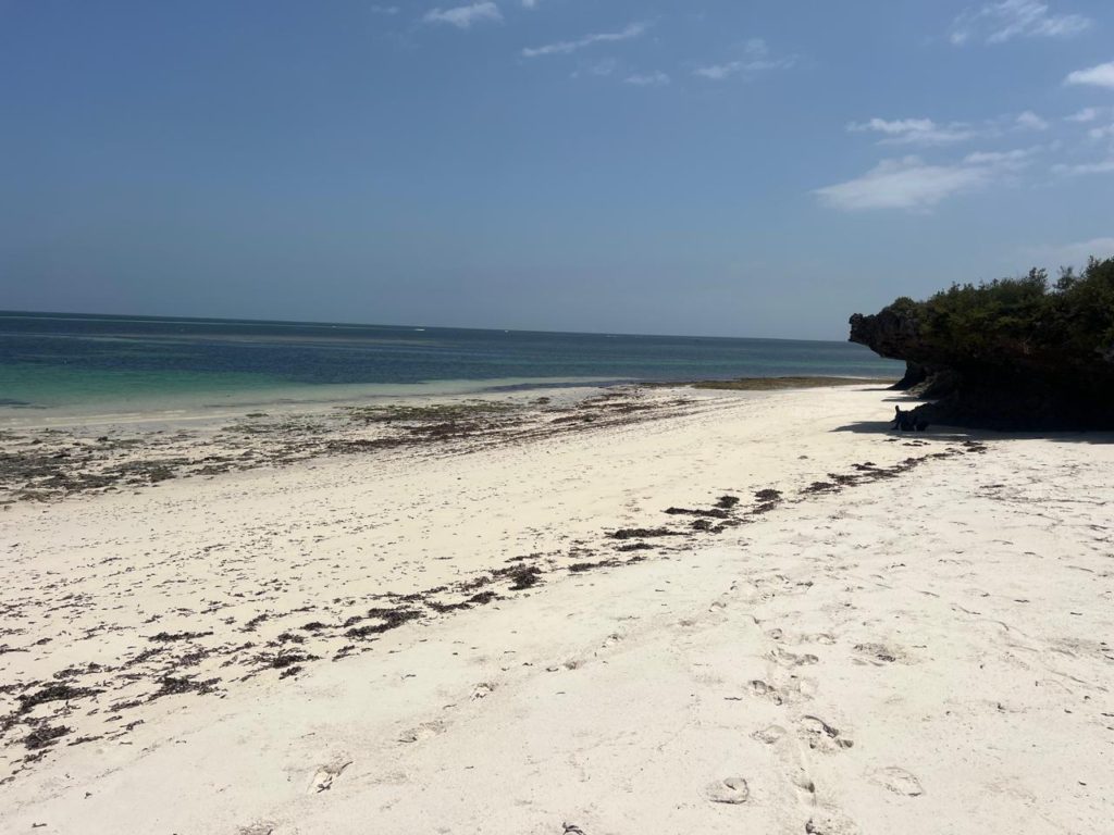 WhatsApp Image 2026 01 28 at 10.24.54 AM 1