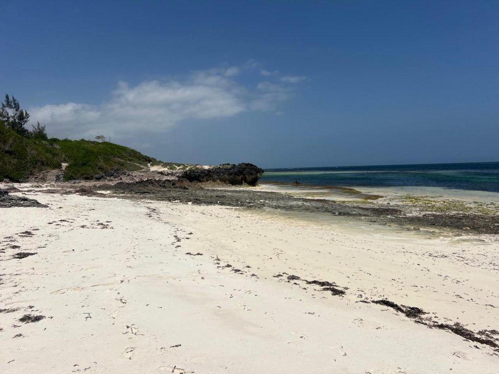 WhatsApp Image 2026 01 28 at 10.24.54 AM 2