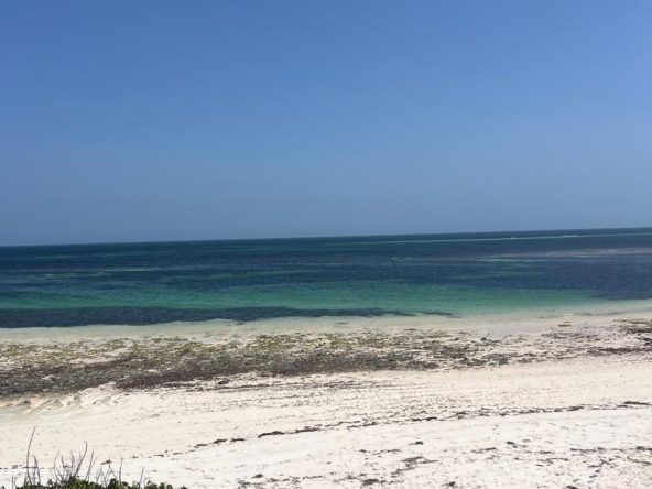 WhatsApp Image 2026 01 28 at 10.24.54 AM