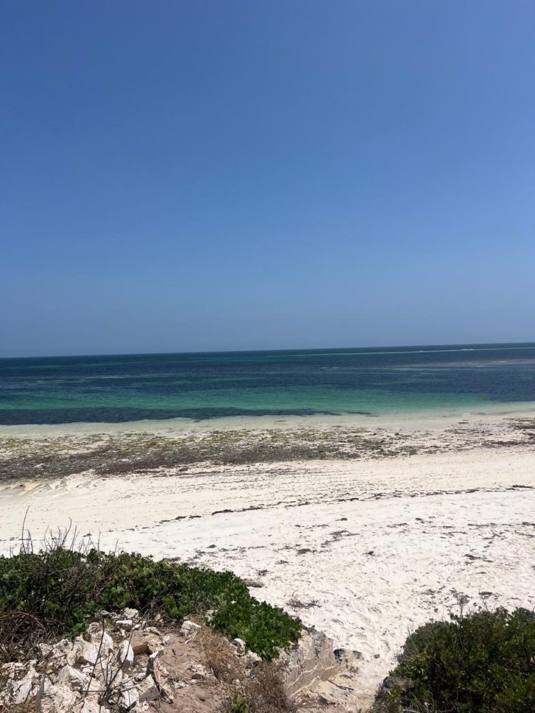 WhatsApp Image 2026 01 28 at 10.24.54 AM