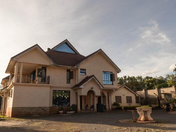 WhatsApp Image 2026 01 29 at 10.44.57 PM