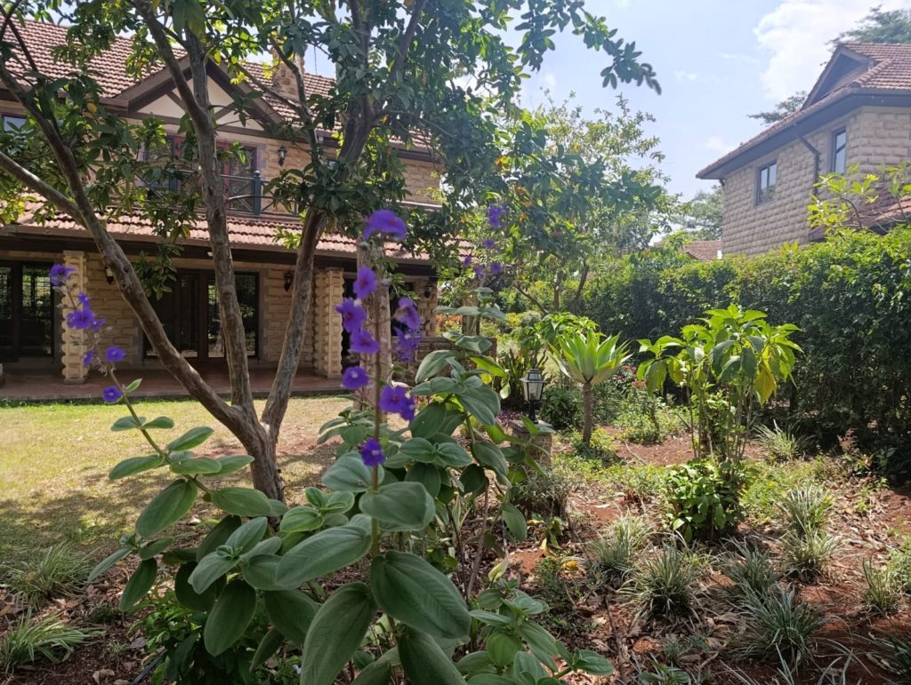 WhatsApp Image 2026 01 29 at 3.28.09 PM