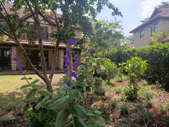 WhatsApp Image 2026 01 29 at 3.28.09 PM 3